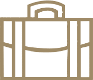 Bag Icon